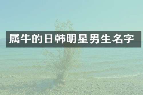属牛的日韩明星男生名字