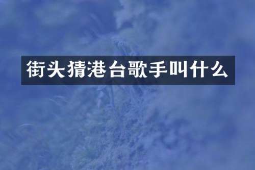 街头猜港台歌手叫什么