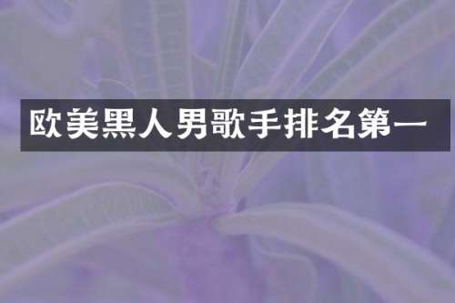 欧美黑人男歌手排名第一