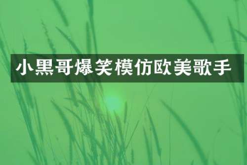 小黑哥爆笑模仿欧美歌手