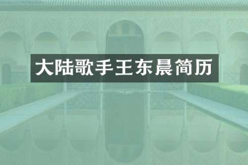 大陆歌手王东晨简历