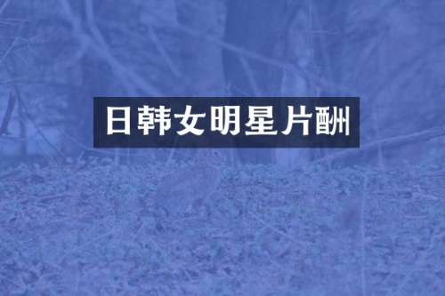 日韩女明星片酬