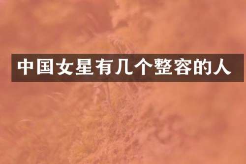 中国女星有几个整容的人