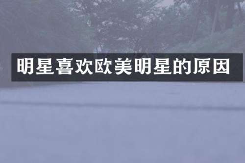 明星喜欢欧美明星的原因