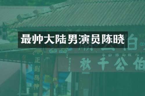 最帅大陆男演员陈晓