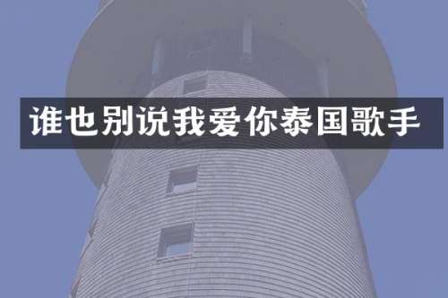 谁也别说我爱你泰国歌手