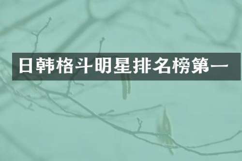 日韩格斗明星排名榜第一