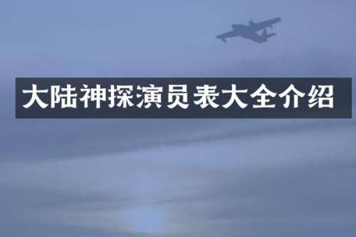 大陆神探演员表大全介绍