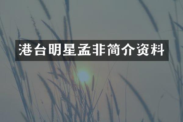 港台明星孟非简介资料