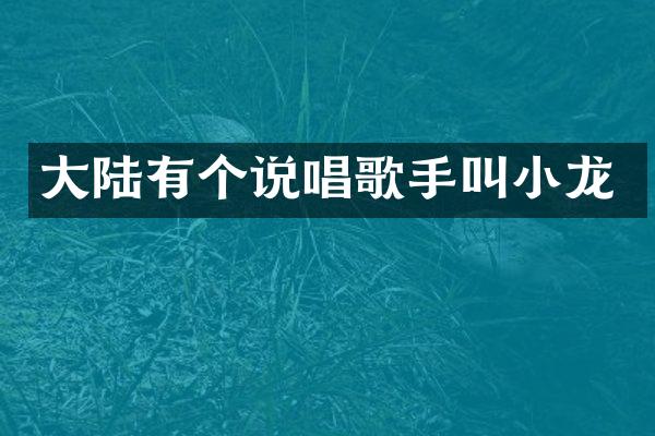 大陆有个说唱歌手叫小龙