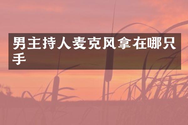 男主持人麦克风拿在哪只手