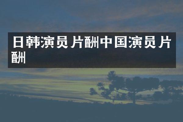日韩演员片酬中国演员片酬