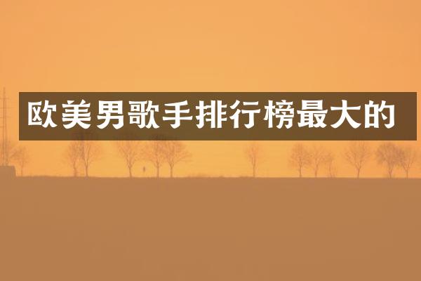 欧美男歌手排行榜最大的