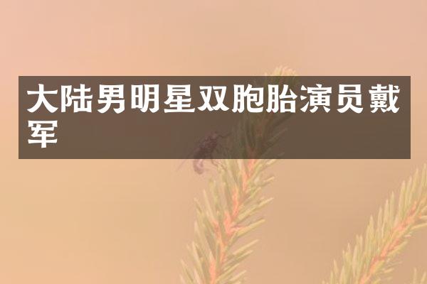 大陆男明星双胞胎演员戴军