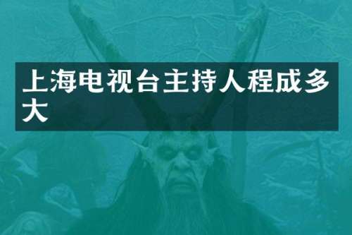 上海电视台主持人程成多大