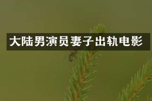 大陆男演员妻子出轨电影