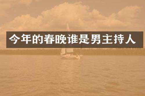 今年的谁是男主持人