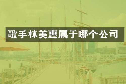 歌手林美惠属于哪个公司