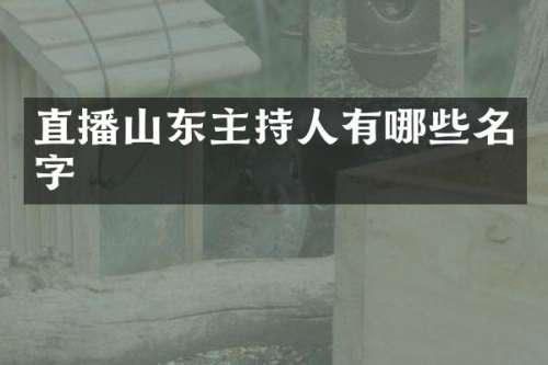 直播山东主持人有哪些名字