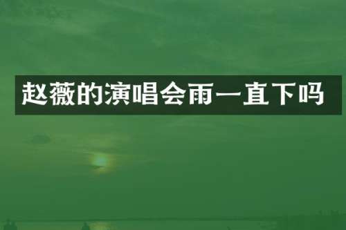 赵薇的演唱会雨一直下吗