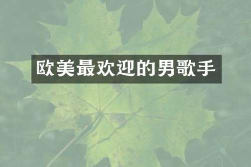 欧美最欢迎的男歌手