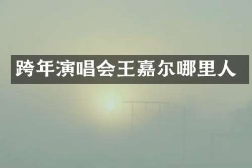 跨年演唱会王嘉尔哪里人