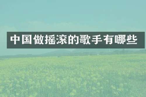 中国做摇滚的歌手有哪些