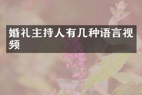 婚礼主持人有几种语言视频