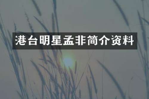 港台明星孟非简介资料