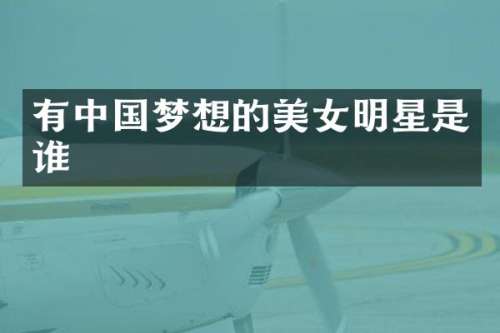 有中国梦想的明星是谁