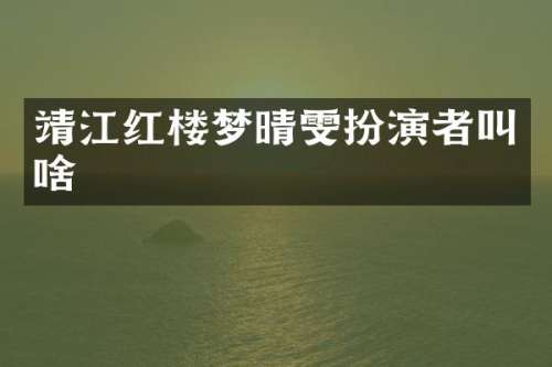 靖江红楼梦晴雯扮演者叫啥