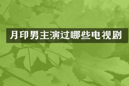 月印男主演过哪些电视剧