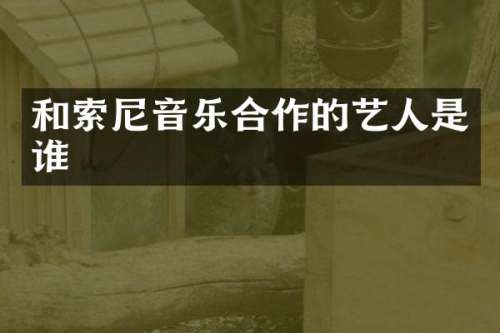 和音乐合作的艺人是谁