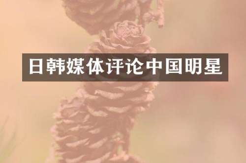 日韩媒体评论中国明星
