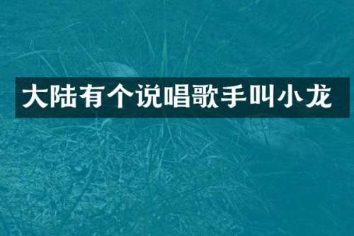 大陆有个说唱歌手叫小龙