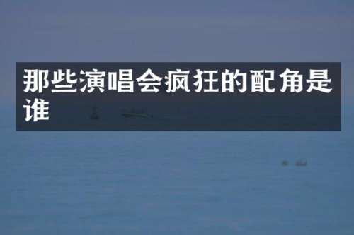 那些演唱会疯狂的配角是谁