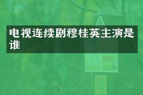 电视连续剧穆桂英主演是谁