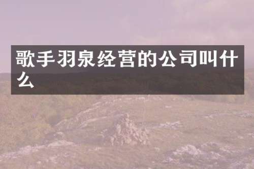 歌手羽泉经营的公司叫什么
