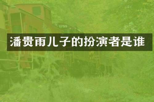 潘贵雨儿子的扮演者是谁