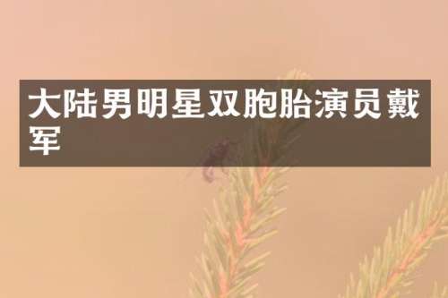 大陆男明星双胞胎演员戴军