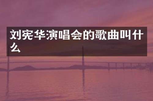 刘宪华演唱会的歌曲叫什么