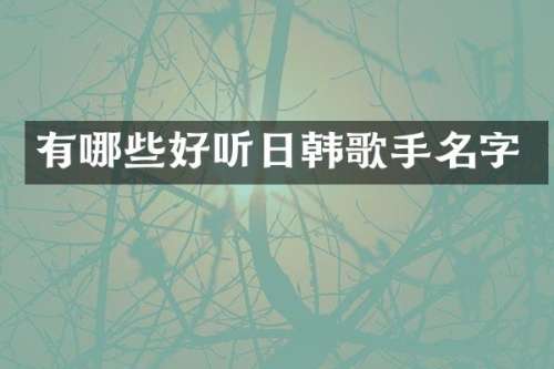 有哪些好听日韩歌手名字