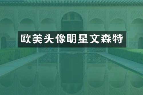 欧美头像明星文森特
