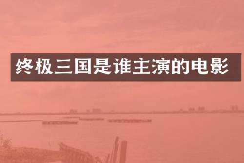 终极三国是谁主演的电影