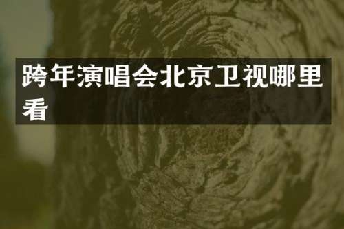 跨年演唱会北京卫视哪里看