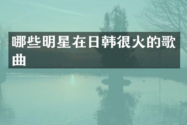哪些明星在日韩很火的歌曲