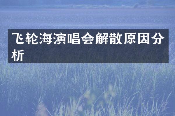 飞轮海演唱会解散原因分析