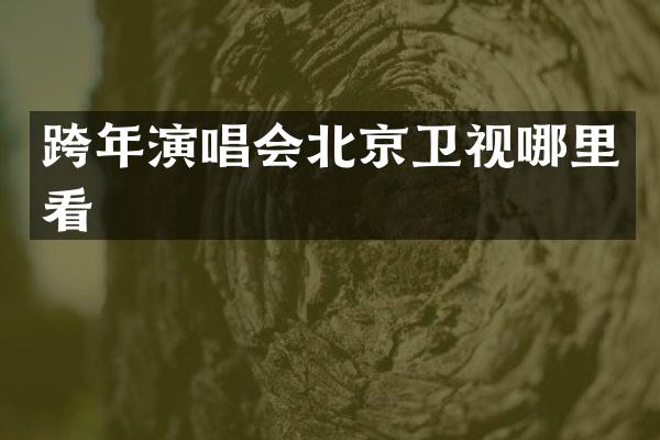 跨年演唱会北京卫视哪里看