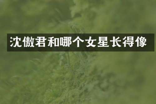 沈傲君和哪个女星长得像