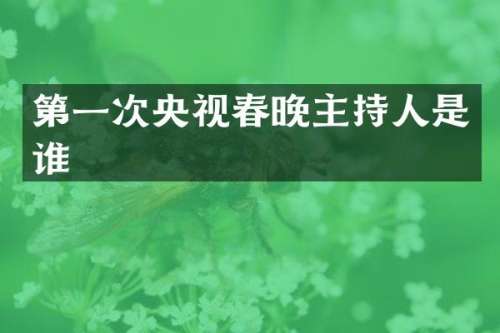第一次央视主持人是谁